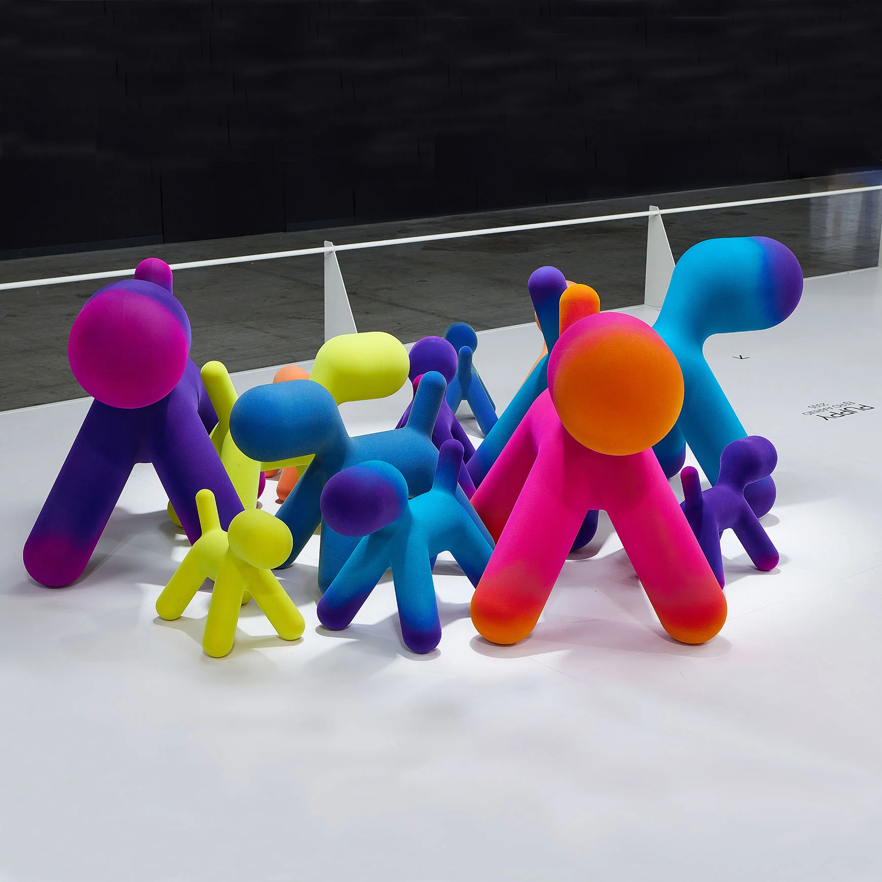 magis_puppy_velvet_05